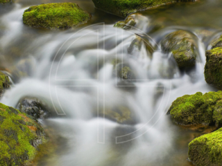 Silky smooth water and mossy stones.