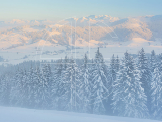 A Landscape Of White A foggy, snow-covered landscape. Mountains loom in the background.
