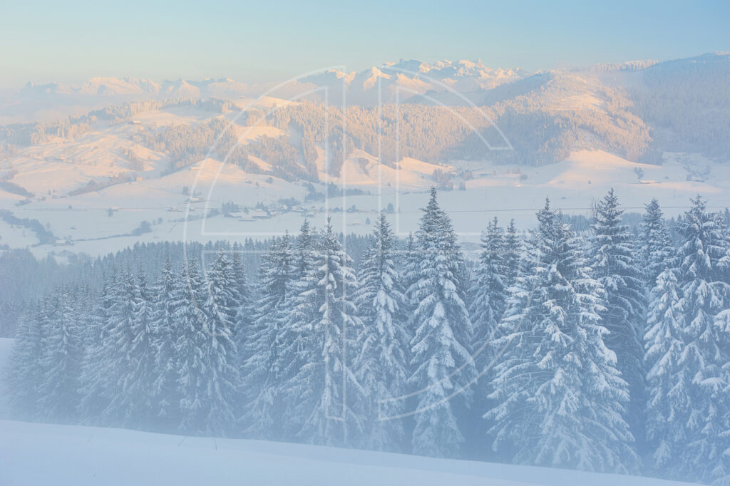 A foggy, snow-covered landscape. Mountains loom in the background.
