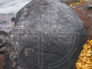 A Yellow Surprise One big stone and yellow leaves to the right. In the background, roars a wild river.