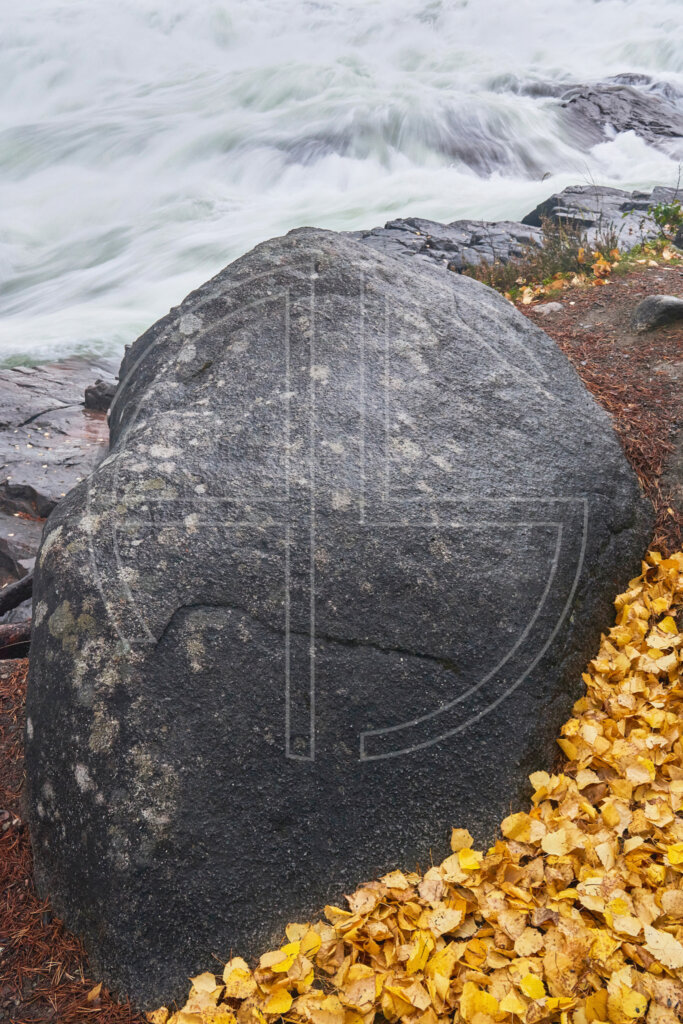 One big stone and yellow leaves to the right. In the background, roars a wild river.