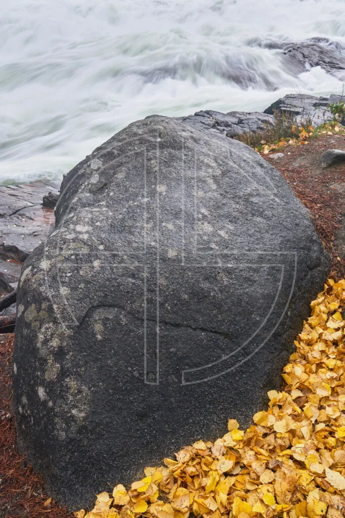 One big stone and yellow leaves to the right. In the background, roars a wild river.