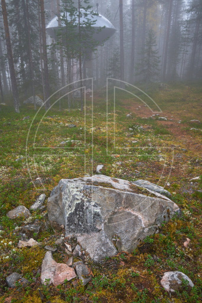 A UFO hidden in the woods on a foggy morning.