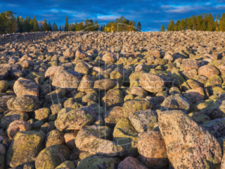 Be Cautious Big scattered stones illuminated by the setting sun.