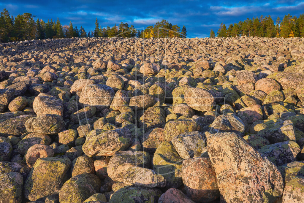 Big scattered stones illuminated by the setting sun.