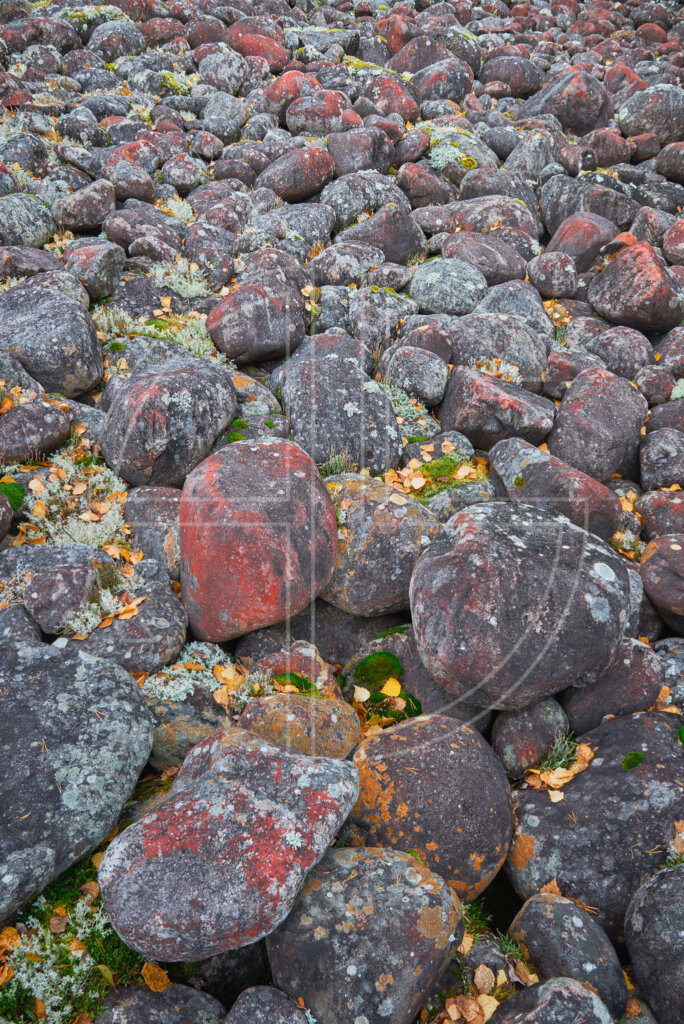Red scattered stones.