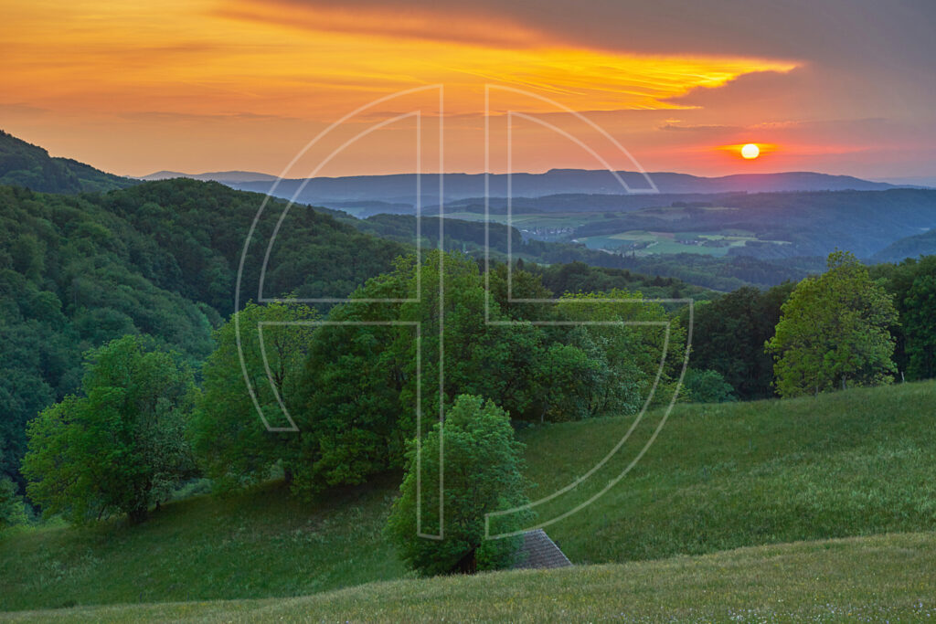 Sunset at a green meadow. In the foreground, trees stand, while in the distant backdrop, hills rise.