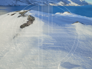 Morning light at a fjord in winter.