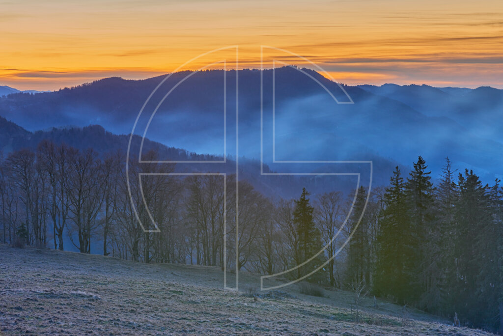 Wooded hills in fog in the evening from a vantage point.