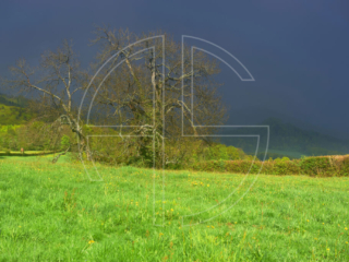 A black, threatening sky and a sunlit meadow in the afternoon.