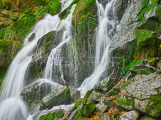 A waterfall and mossy stones.