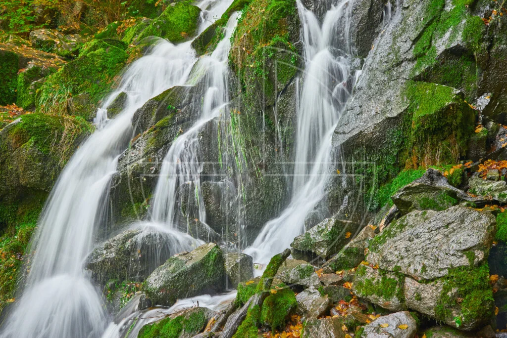 A waterfall and mossy stones.