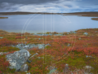 A lake in the wilderness. The sky broods overcast.