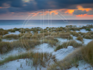 Dunes and beach grass at sunset.