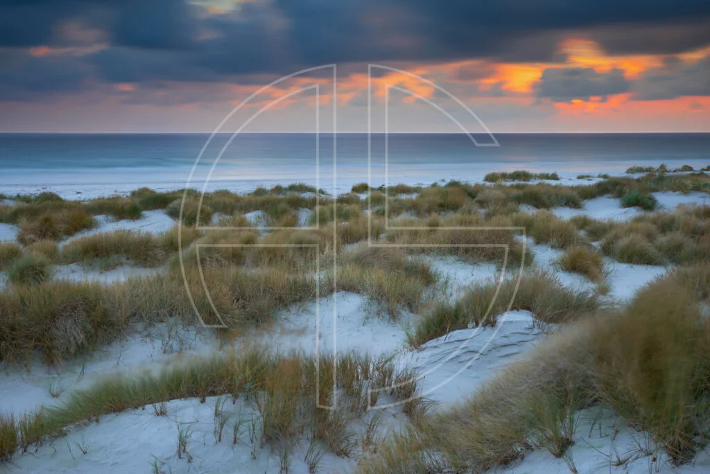 Dunes and beach grass at sunset.