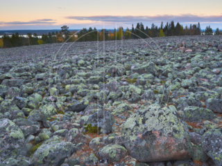 Dusk At Bälingeberg Scattered stones at dusk.