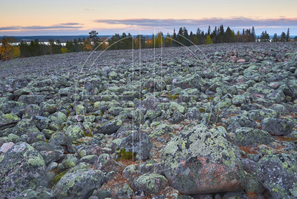 Scattered stones at dusk.