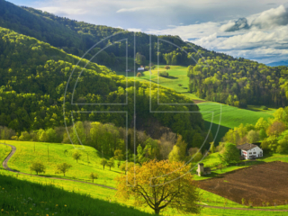 A sunlit, deep green, hilly landscape.