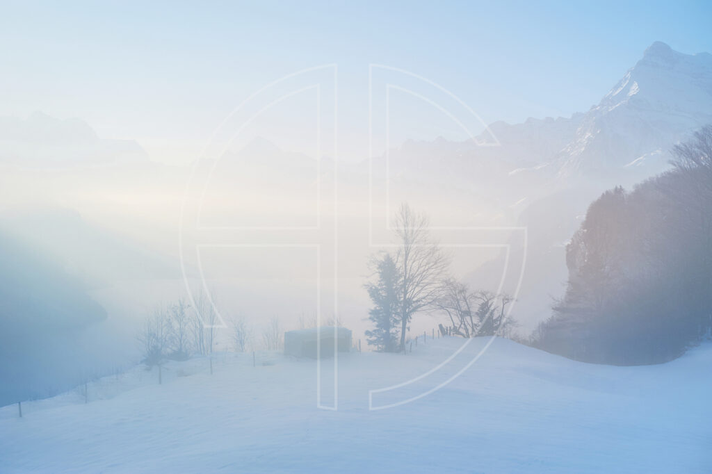 Morning light and haze in a winter landscape.