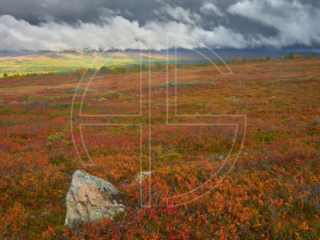 Fjell landscape in red. The sun illuminates the background.