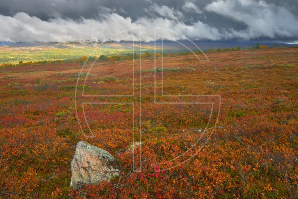 Fjell landscape in red. The sun illuminates the background.