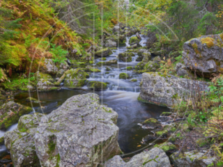 Rocks and a waterfall in the background.