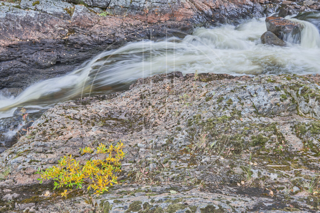 A stream in autumn.