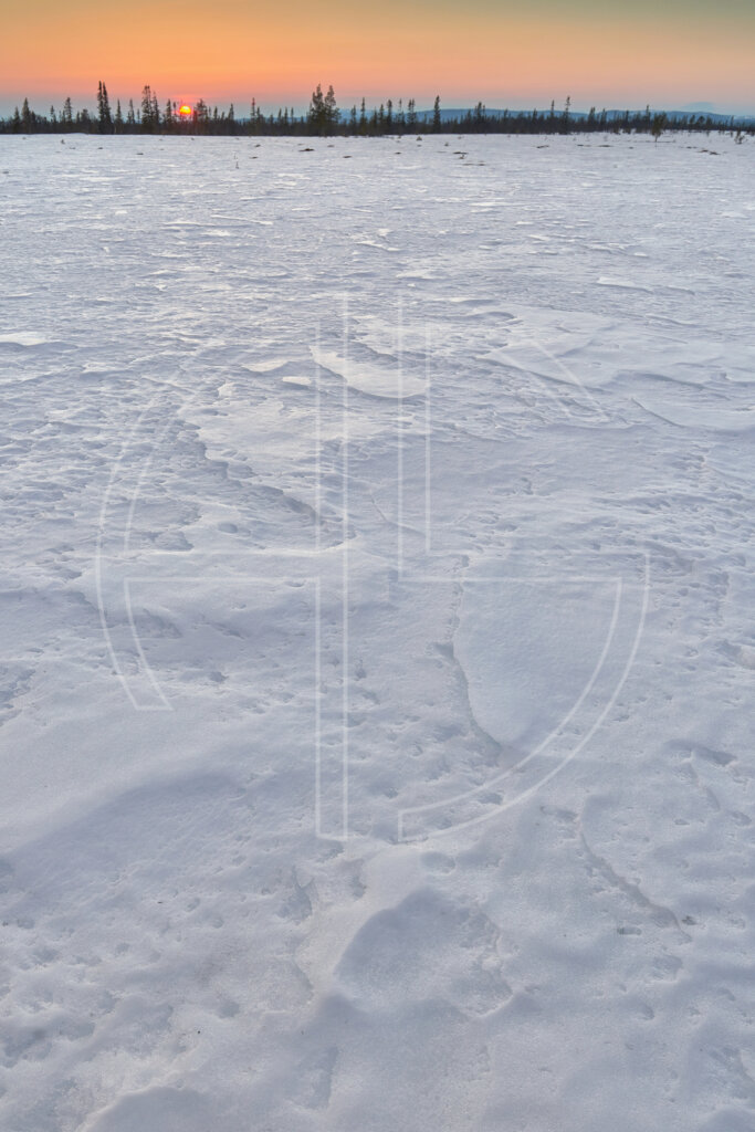 A snow-covered frozen field at sunset.