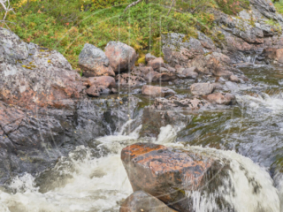 A wild stream in autumn.