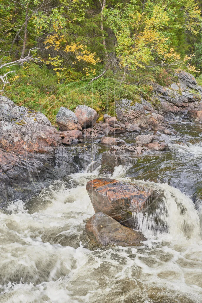 A wild stream in autumn.
