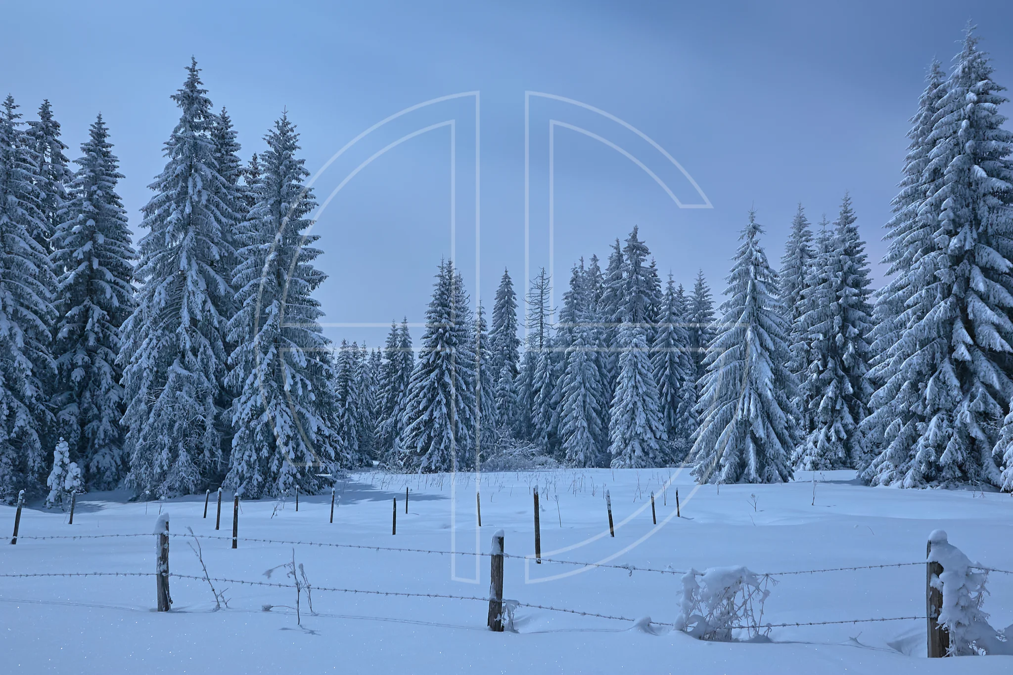 Careful composition does not exist without talent.