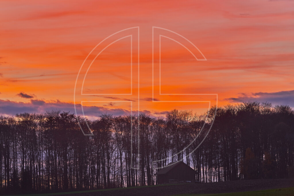 Black trees and a hut under a deep orange sky at dusk.
