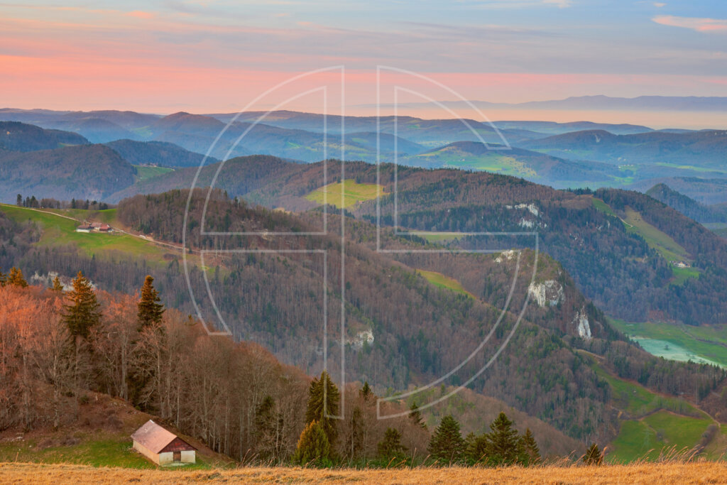 Forested hills at dusk from a vantage point. The sky shines in pink.
