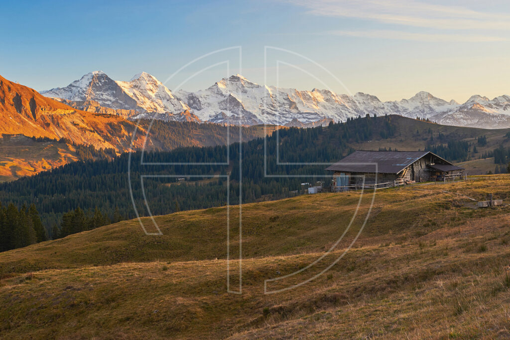 Hut With A Stunning View The mountains of Eiger, Mönch, and Jungfrau in soft evening light. An alpine hut graces the foreground.