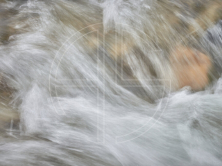 Intimate Lützel A creek from close-up.