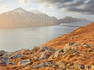Golden evening light in a fjord.