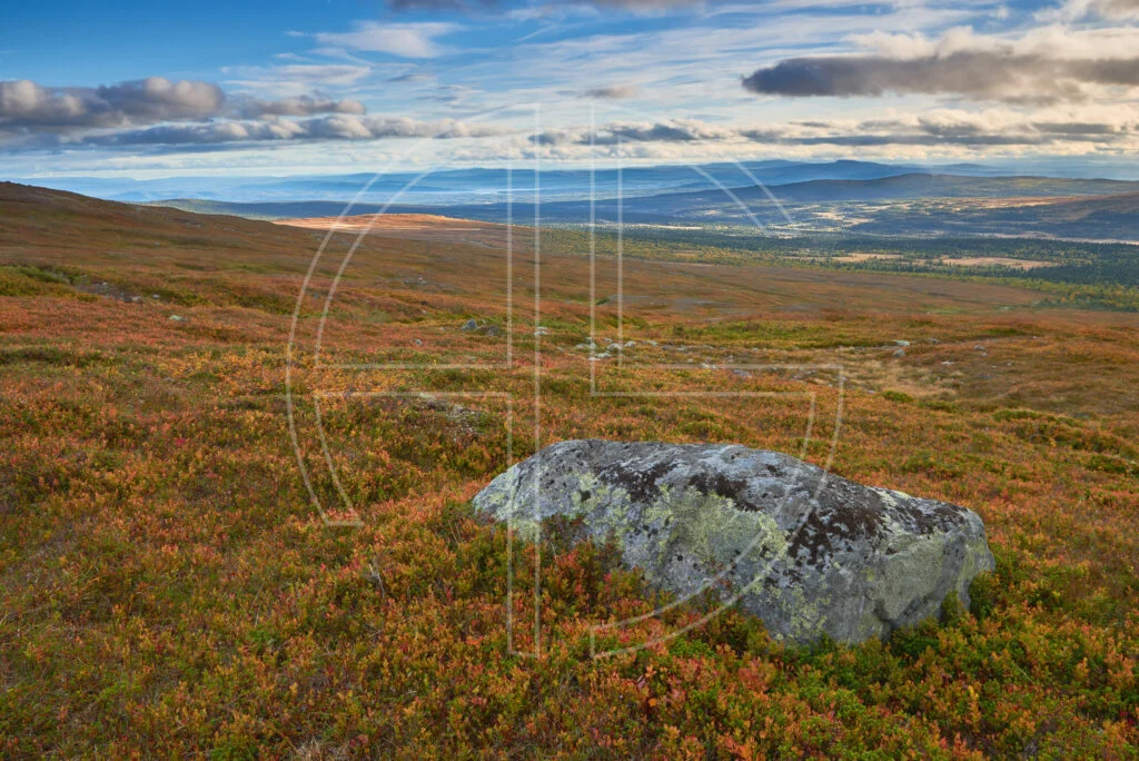 Fjell landscape and soft light in the far background.
