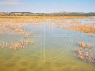 Lake in soft afternoon light.