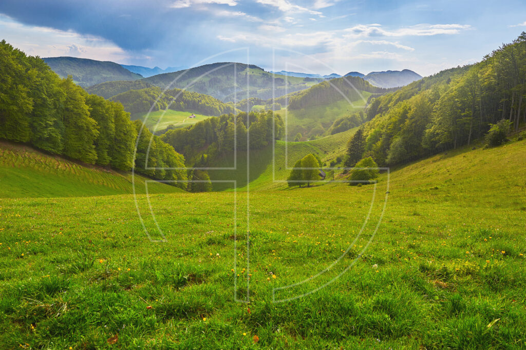 Green meadow bathes in sunlight. Hills loom in the distant backdrop.