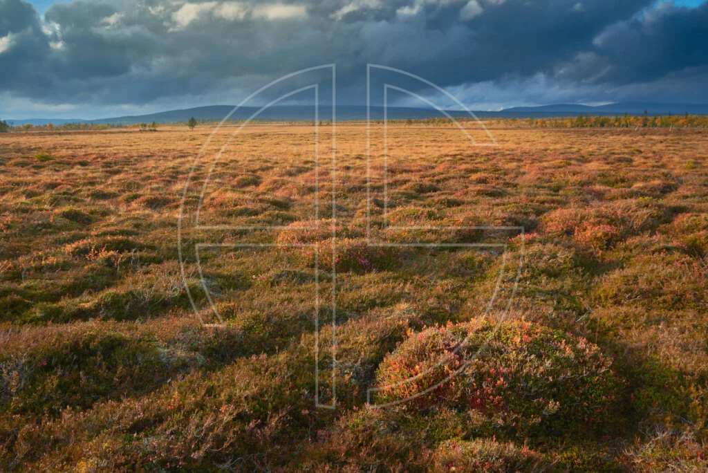 Light Of Transcendence Fjell landscape in evening light.