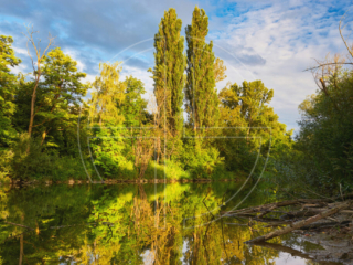 Soft, golden light illuminates trees along the river bank. The water looks like a mirror.