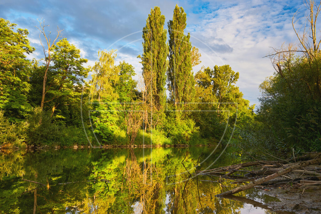 Soft, golden light illuminates trees along the river bank. The water looks like a mirror.