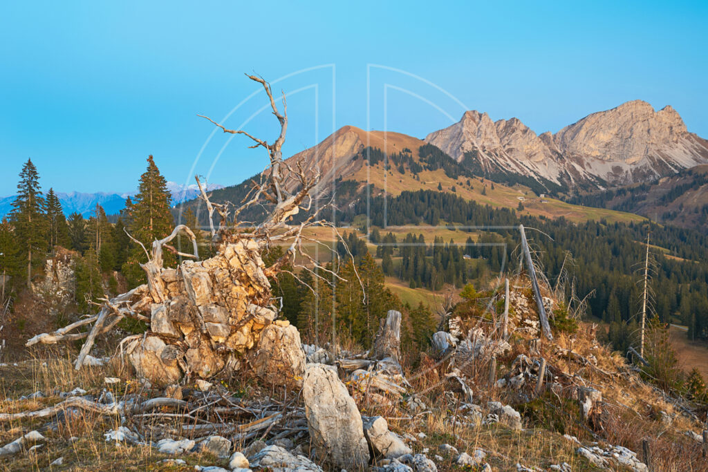Blue hour in a mountain landscape.