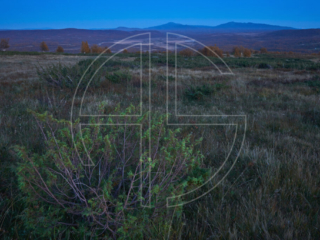 Blue hour in the wilderness.