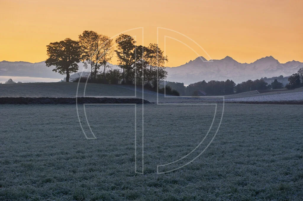 Orange Morning Glow depicts dawn in orange colours.