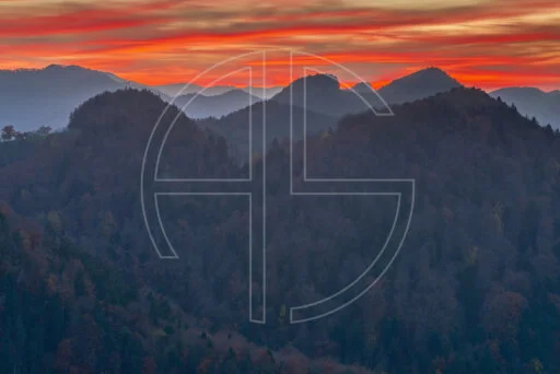 Portiflue Magic depicts a forested, hilly landscape under a blood-red sky.