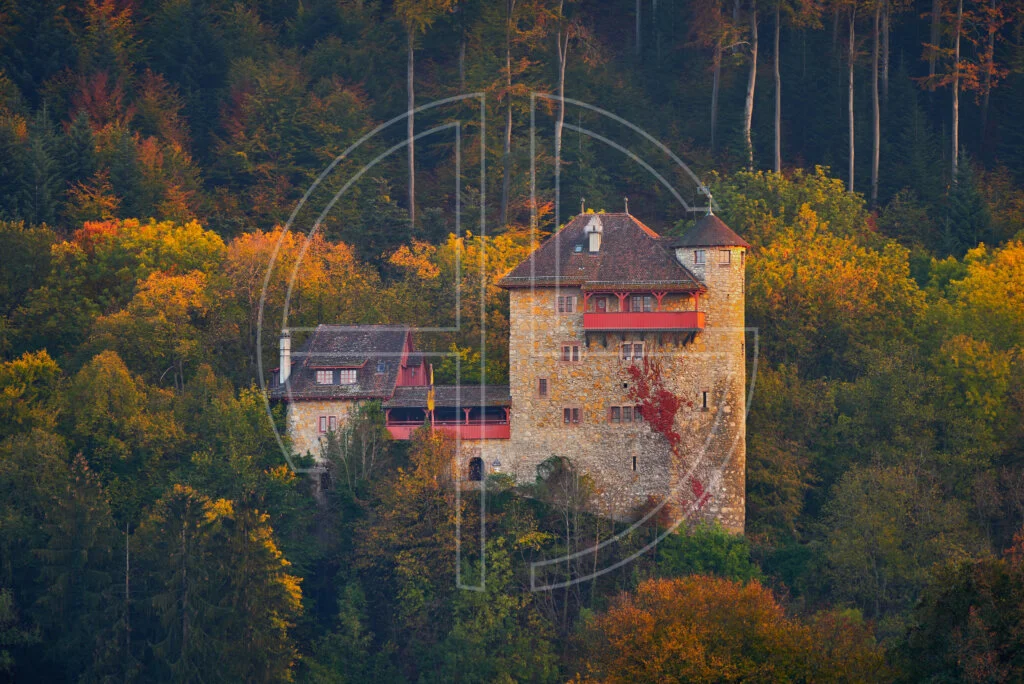 A castle lit by the sun in an autumn forest.