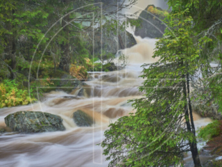 A waterfall and fir trees.