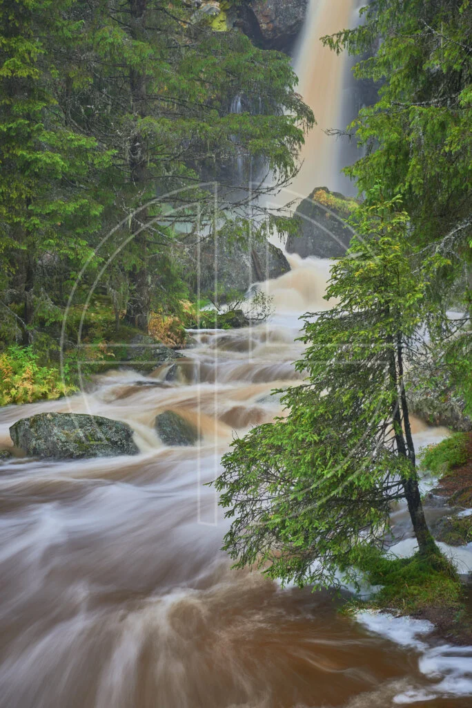 A waterfall and fir trees.