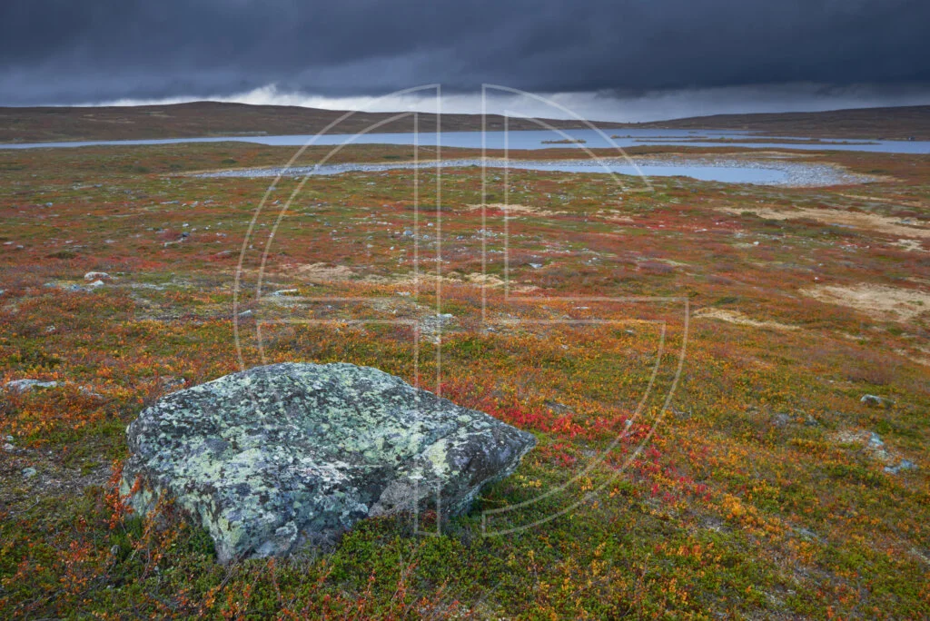 Search For The Unimaginable Dark, brooding sky and a lake in the wilderness.